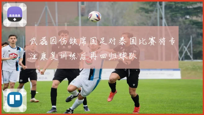武磊因伤缺席国足对泰国比赛将专注康复训练后再回归球队