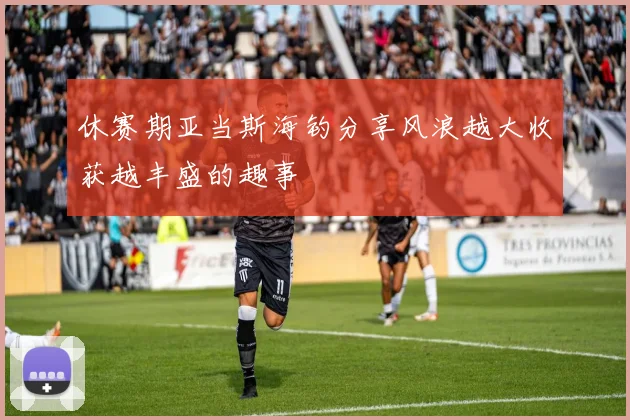 休赛期亚当斯海钓分享风浪越大收获越丰盛的趣事